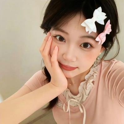 布格迪先生